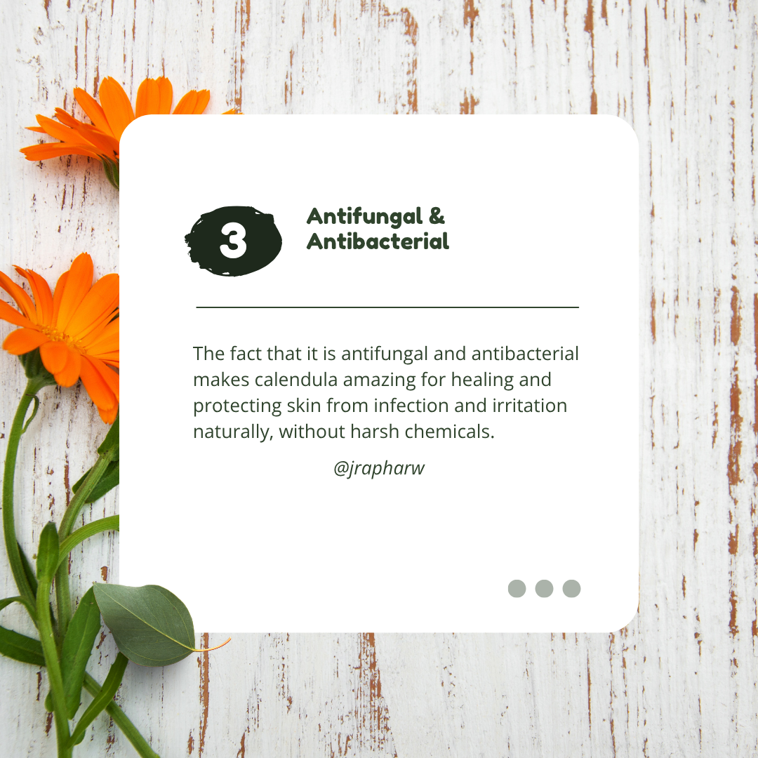 Rapha's Covering Salve